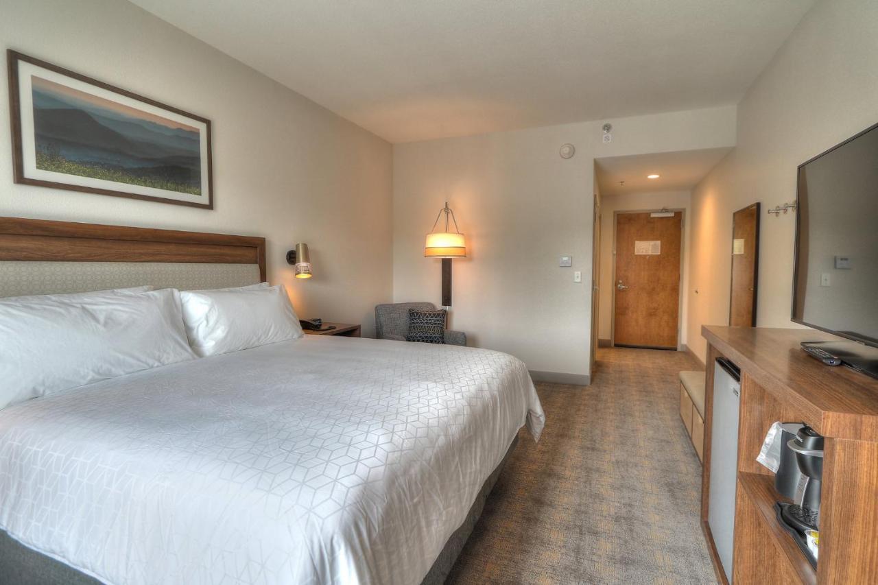Holiday Inn & Suites Pigeon Forge Convention Center, An Ihg Hotel Экстерьер фото