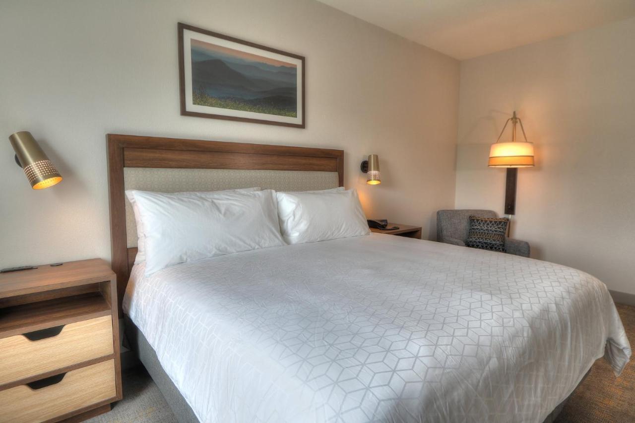 Holiday Inn & Suites Pigeon Forge Convention Center, An Ihg Hotel Экстерьер фото